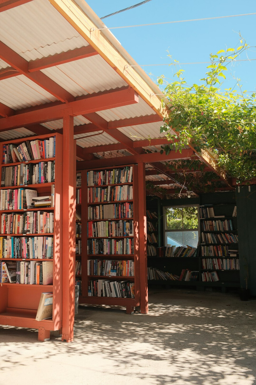 Library shelves full of books